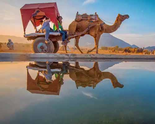 Rajasthan Tour 7 Days