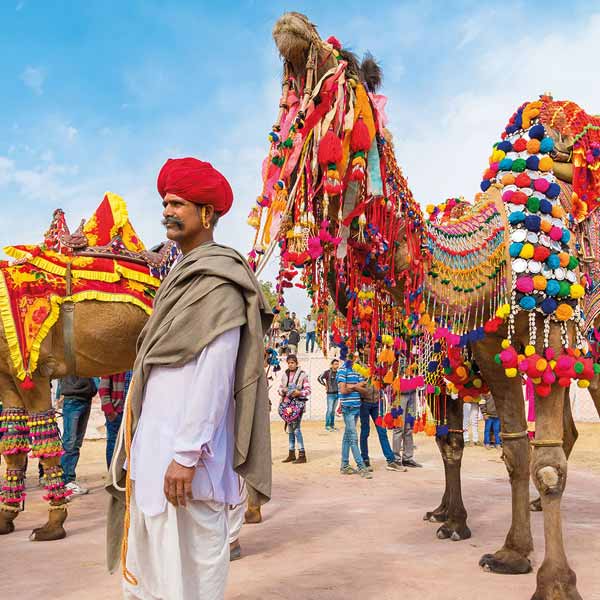 Pushkar tour advisor